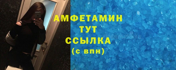 ПСИЛОЦИБИНОВЫЕ ГРИБЫ Верея