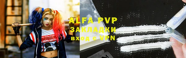 ПСИЛОЦИБИНОВЫЕ ГРИБЫ Верея