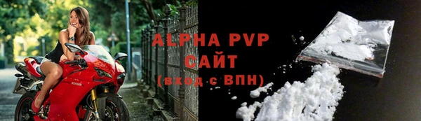 ПСИЛОЦИБИНОВЫЕ ГРИБЫ Верея