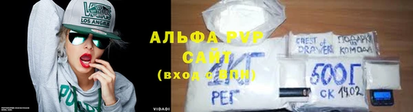 ПСИЛОЦИБИНОВЫЕ ГРИБЫ Верея