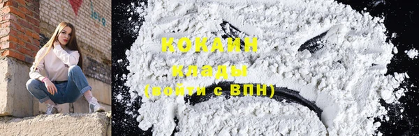 ПСИЛОЦИБИНОВЫЕ ГРИБЫ Верея