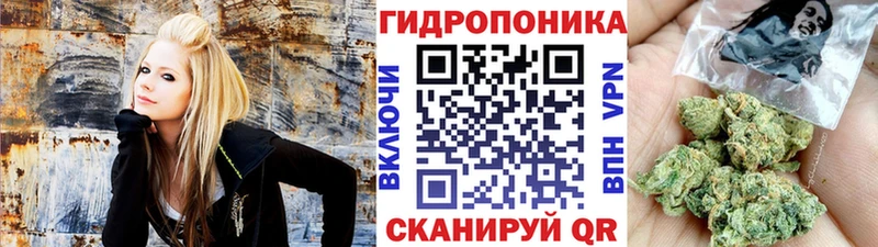 Каннабис план  Спасск-Дальний 
